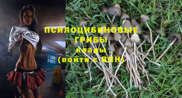 метадон Богородицк